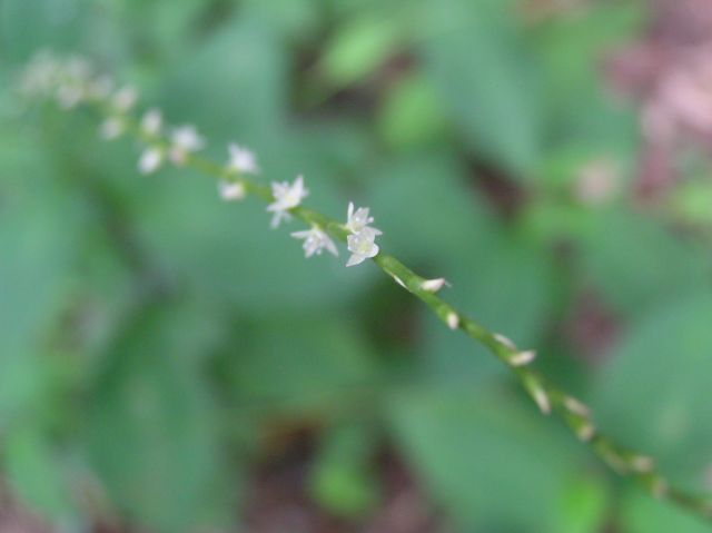 c0042869_21342460.jpg