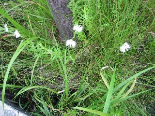 e0031572_2151414.jpg
