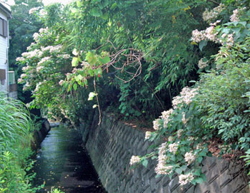 b0037498_1424286.jpg