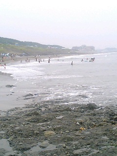 b0068613_17202721.jpg