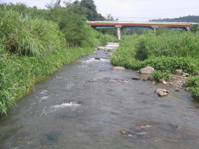 a0030217_583449.jpg