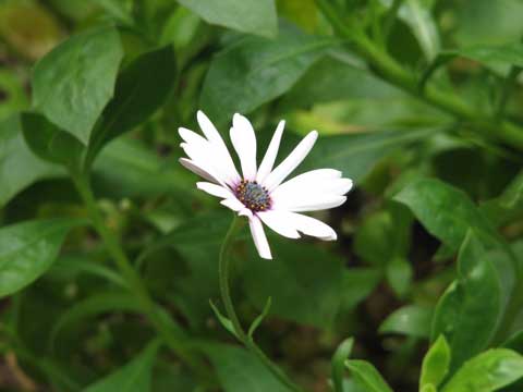 e0021328_12253020.jpg