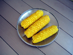 a0034438_10421226.jpg