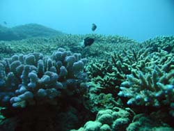 b0062363_20593042.jpg