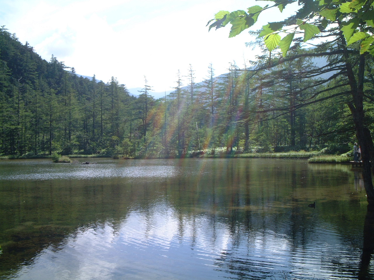 d0063563_2222078.jpg