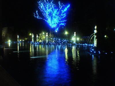 e0030085_0241495.jpg