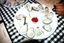 c0062603_1444846.jpg