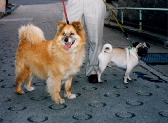 d0062009_11575363.jpg