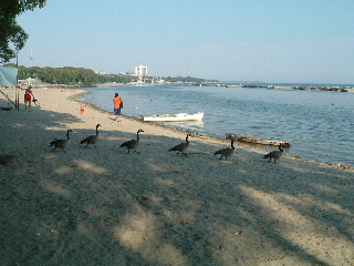 c0039813_2331768.jpg