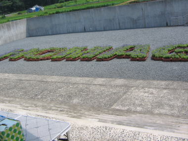 e0048115_018959.jpg