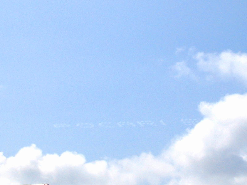 d0017924_124035100.jpg