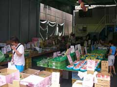 b0054727_112516.jpg