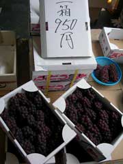 b0054727_123887.jpg