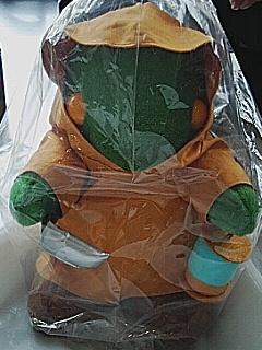 e0047928_3434852.jpg