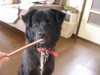 c0065643_1420734.jpg
