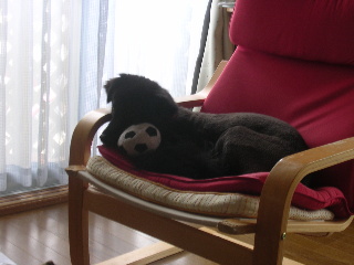 c0065643_14264535.jpg