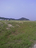 b0060945_1431305.jpg