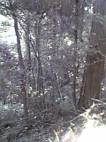 b0060945_15345980.jpg