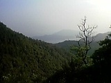 b0060945_9445799.jpg