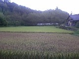 b0060945_959285.jpg
