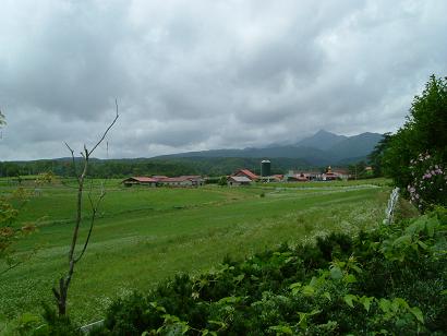b0061572_1948962.jpg