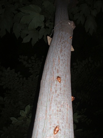 d0004574_14431286.jpg