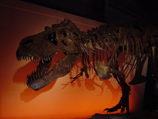 d0022781_2247847.jpg