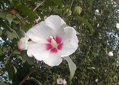 d0014690_19352448.jpg