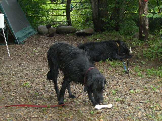 e0028708_17103622.jpg