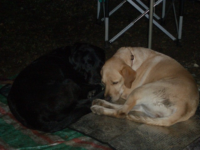 e0028708_1713731.jpg