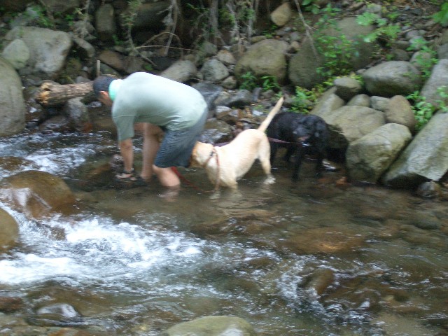e0028708_175332.jpg