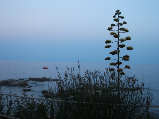 b0030011_15264664.jpg