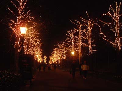 c0059521_14515589.jpg