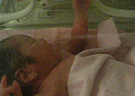 b0026822_5305739.gif