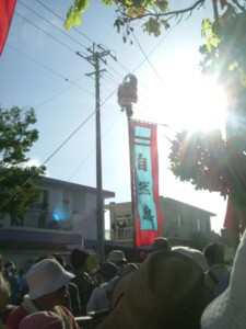 c0072734_173299.jpg