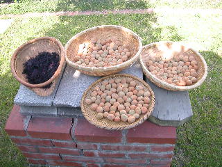 e0004756_20115687.jpg