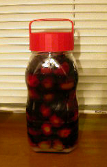 e0004756_2021680.jpg