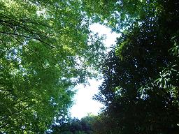 c0053571_2245659.jpg
