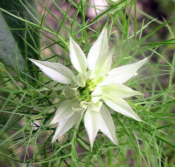 c0016987_1227988.jpg