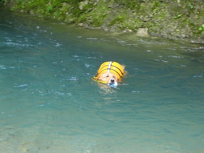 e0014801_10352831.jpg