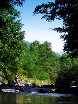 e0009009_17442271.jpg