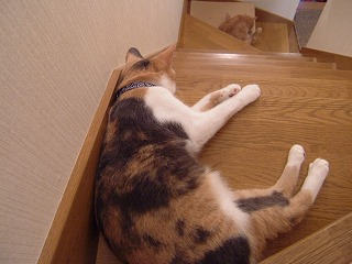 a0034419_12302518.jpg