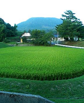 c0006633_738267.jpg