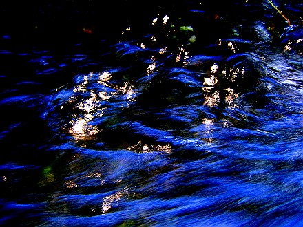 d0029241_22131543.jpg