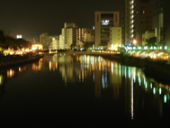 d0029958_1531205.jpg