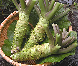 c0059278_17362021.jpg