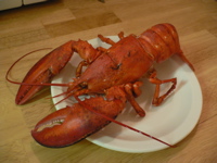 e0019280_12392878.jpg