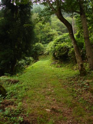 e0005887_1340245.jpg