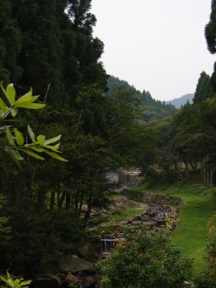 e0005887_1445339.jpg