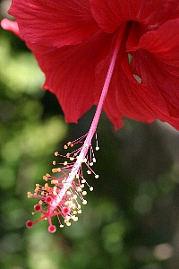 c0039205_2203164.jpg